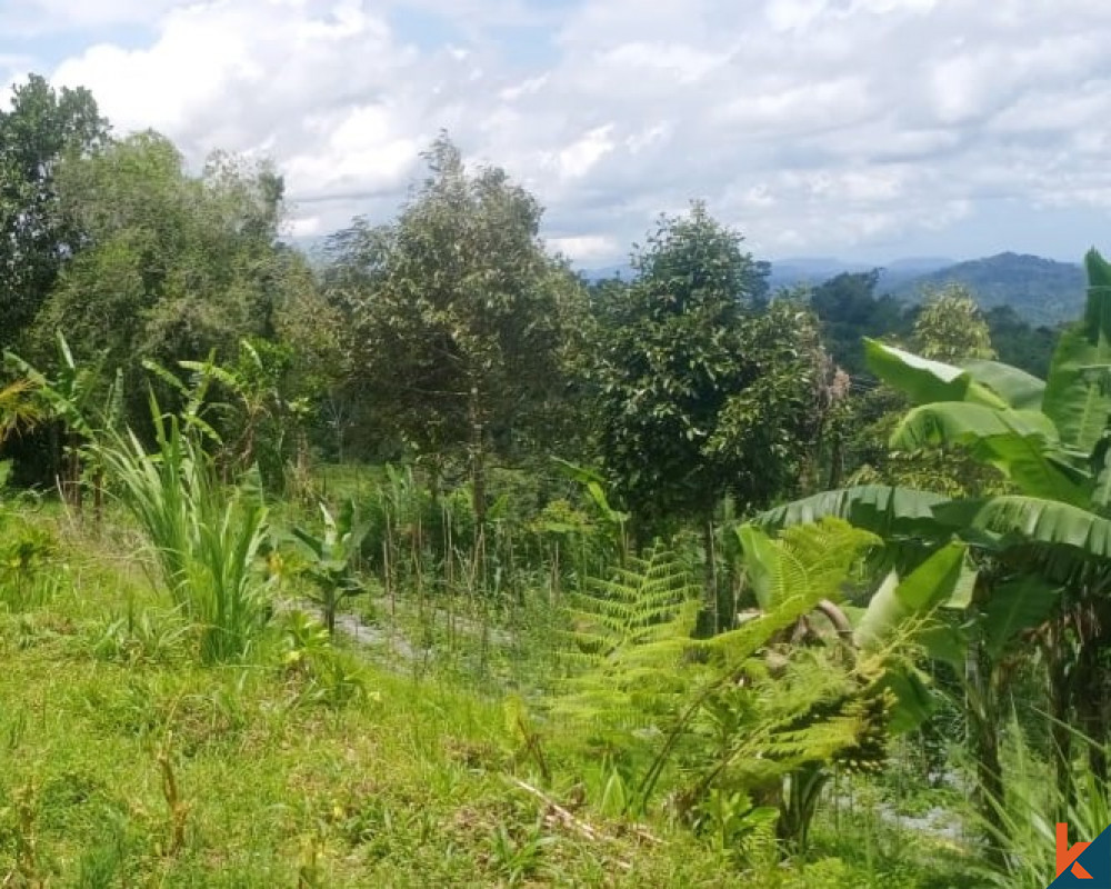Captivating Green View Land 30 are in Tabanan