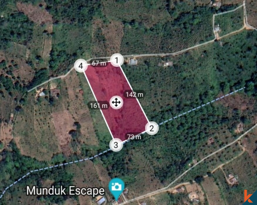 Investissement de premier choix : terrain exclusif en location de 100 ares à Munduk