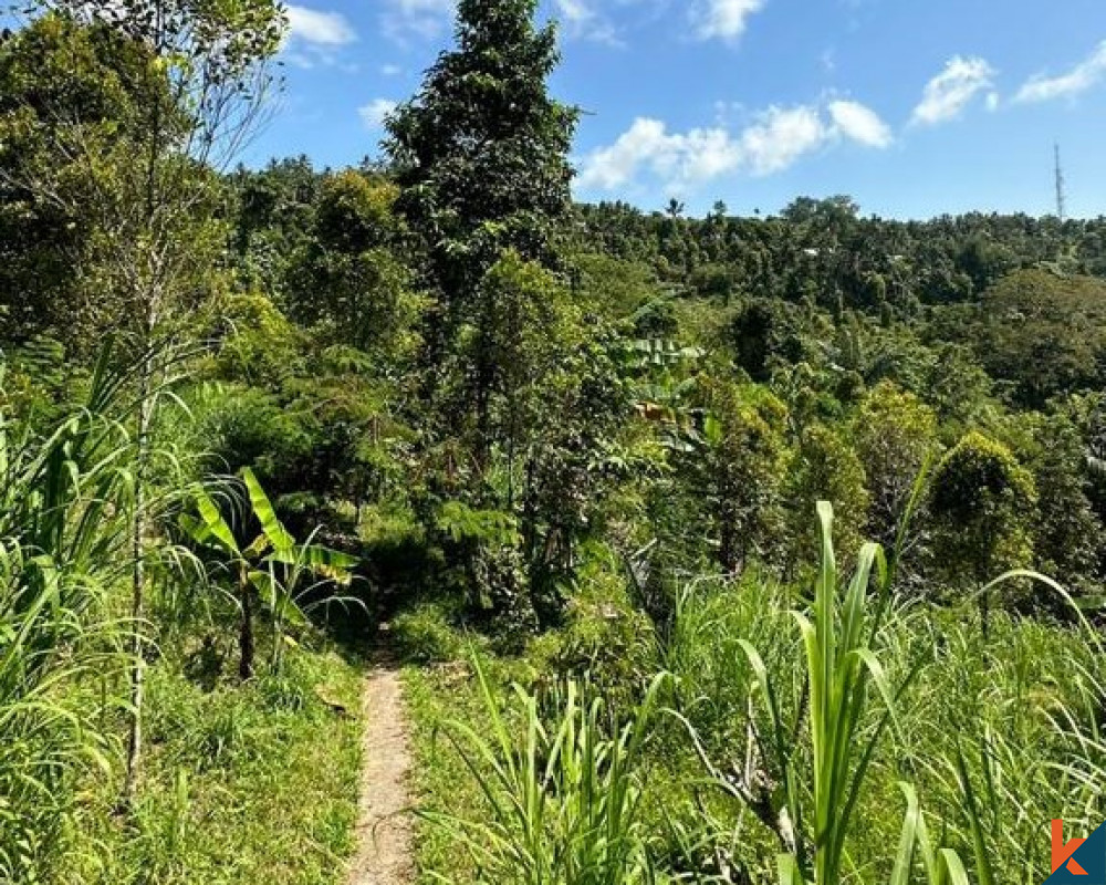 Tanah Surga Terpencil seluas 15 hektar dijual di dekat Lovina di Buleleng