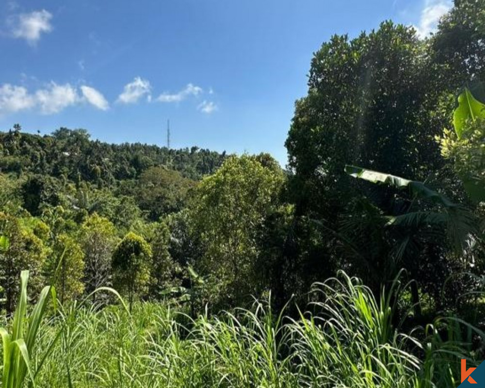 Terrain isolé de 15 hectares à vendre près de Lovina à Buleleng