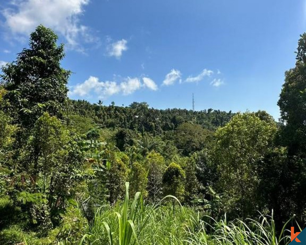 Tanah Surga Terpencil seluas 15 hektar dijual di dekat Lovina di Buleleng