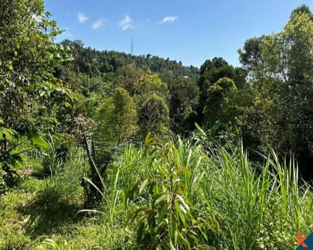 Terrain isolé de 15 hectares à vendre près de Lovina à Buleleng