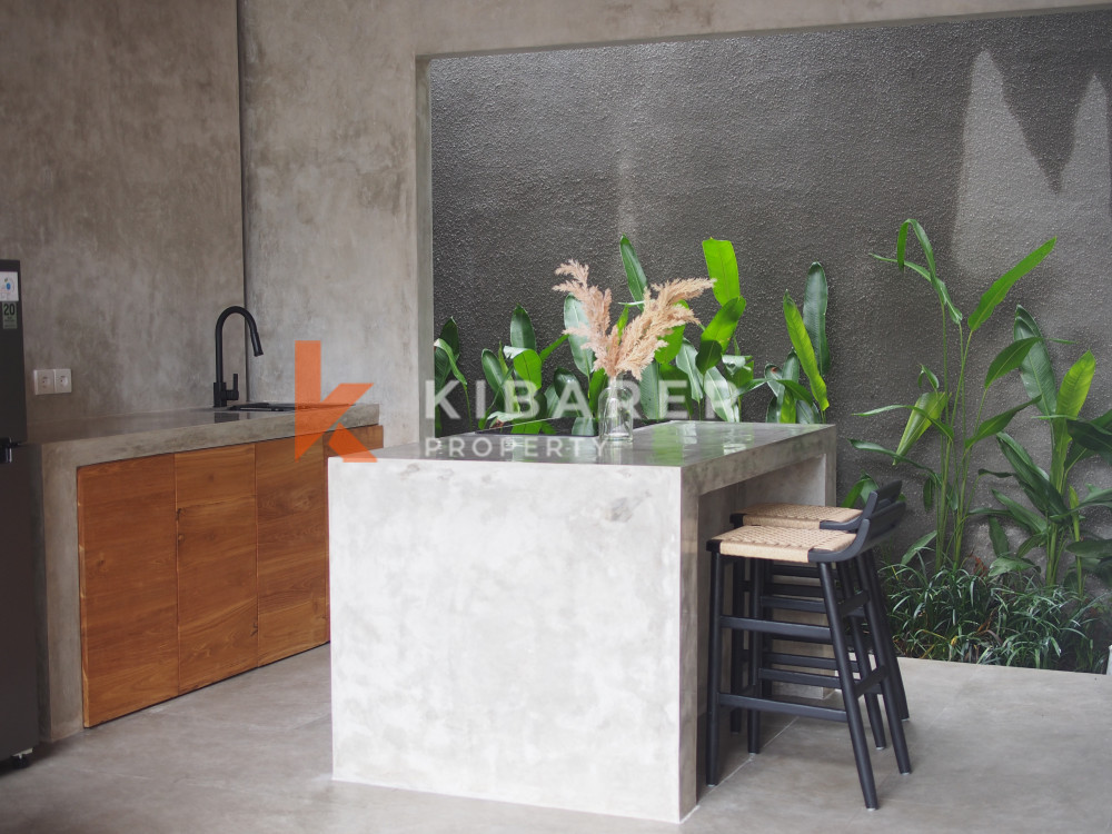 Newly Built One Bedroom Modern loft Nestled in Canggu (Available on February 20th 2024)