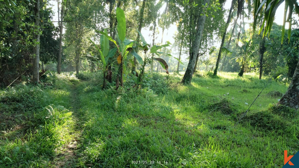 Tanah Hak Guna Bangunan 79 berada di Tabanan