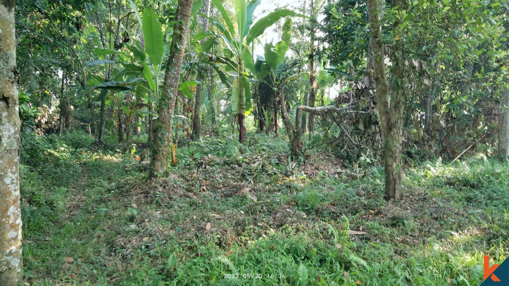 Tanah Hak Guna Bangunan 79 berada di Tabanan