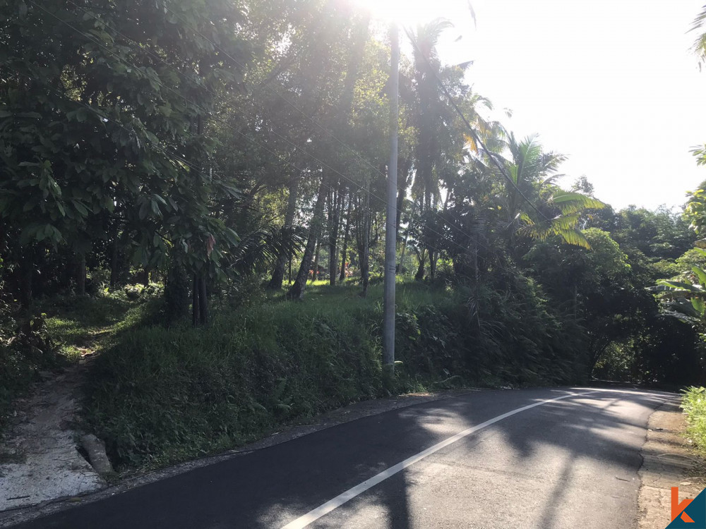 Leasehold Land 79 are in Tabanan