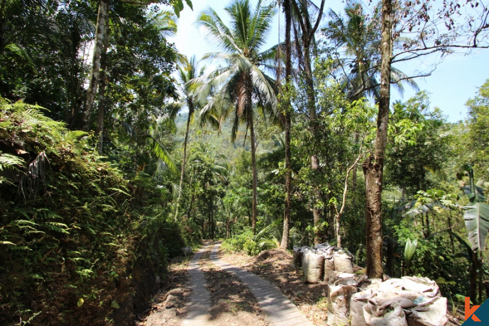 Unrestricted Freehold Land in Tabanan For Sale