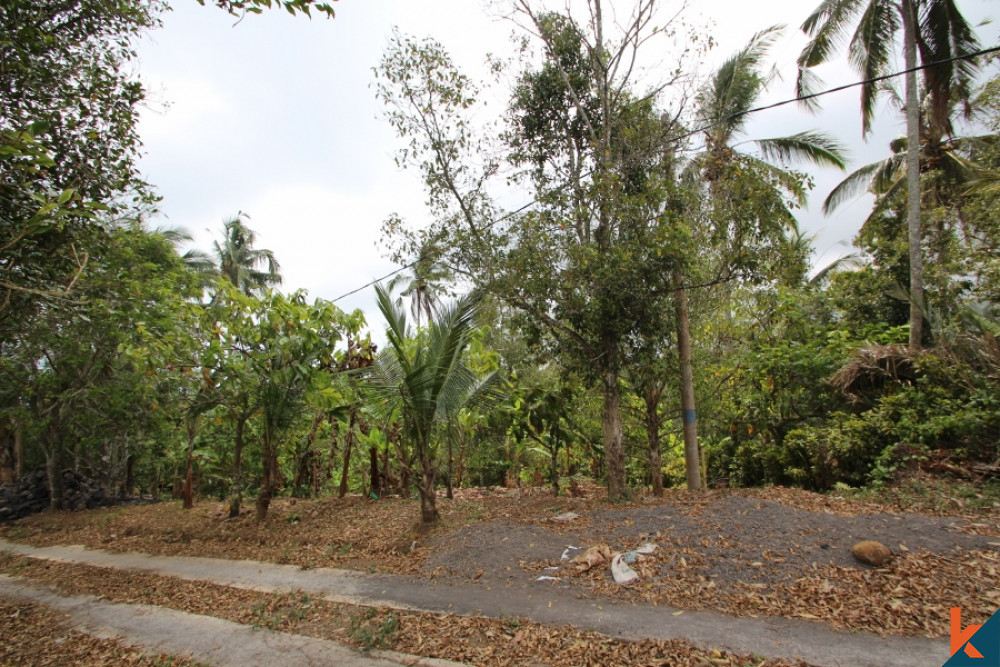 Tabanan's Jewel  Prime Freehold Land for Sale