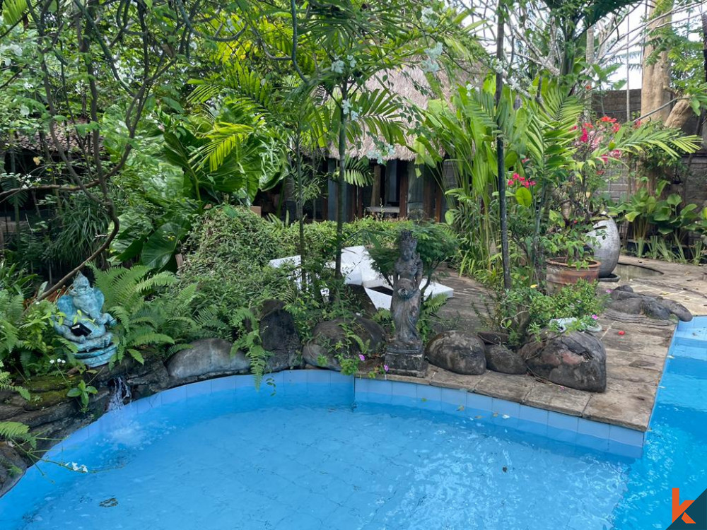 Peaceful freehold villa with spacious land in Seminyak