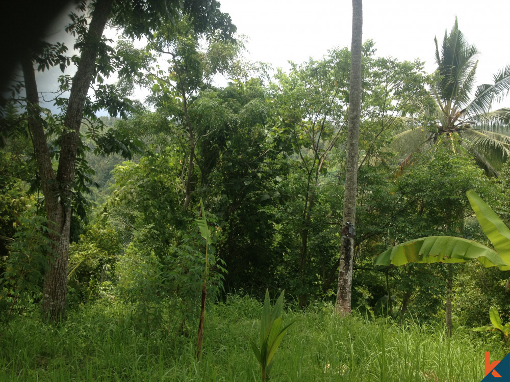 Nature's Canvas Extraordinary Freehold Land in Tabanan