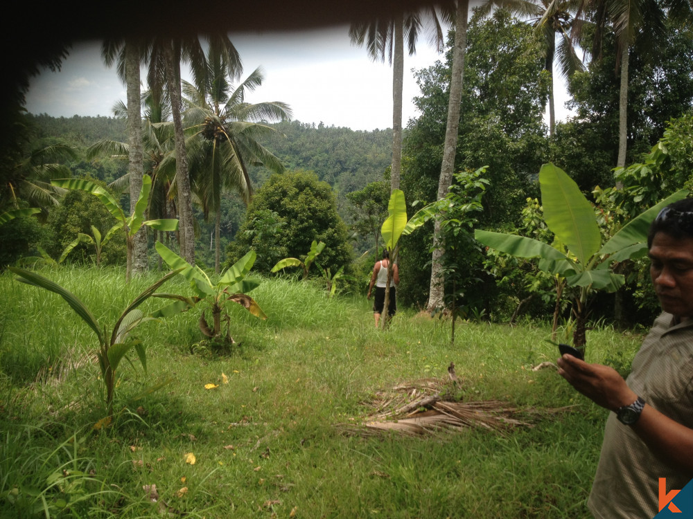 Nature's Canvas Extraordinary Freehold Land in Tabanan