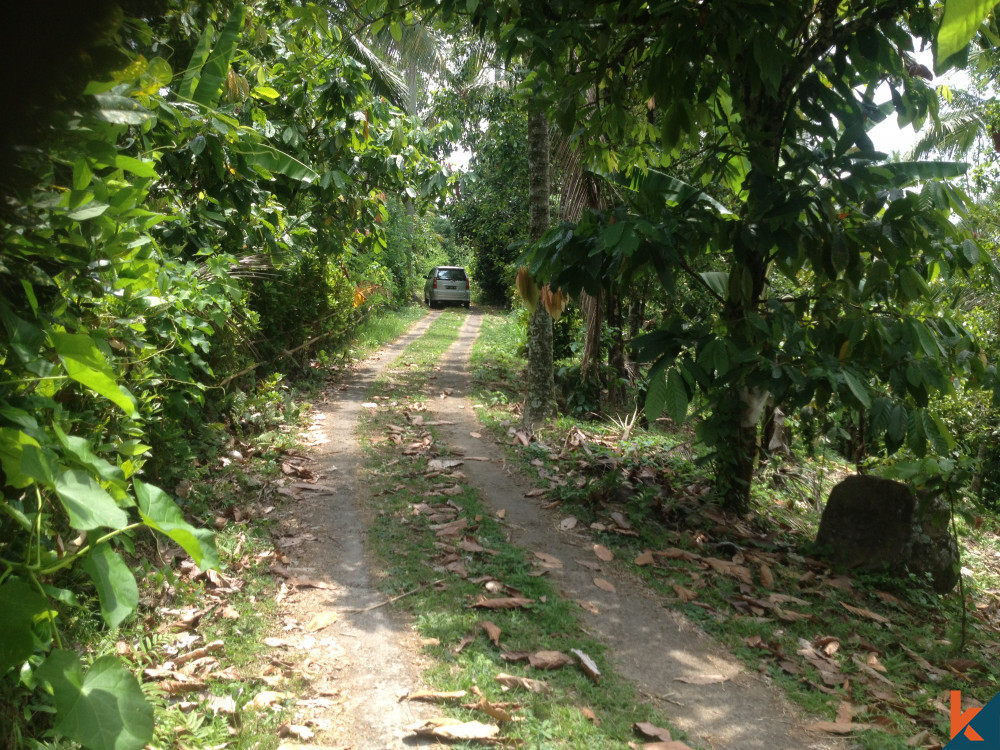 Tabanan's Hidden Gem Freehold Land for Sale