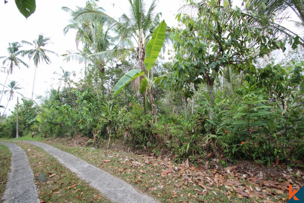 Tabanan's Treasured Freehold Land for Sale