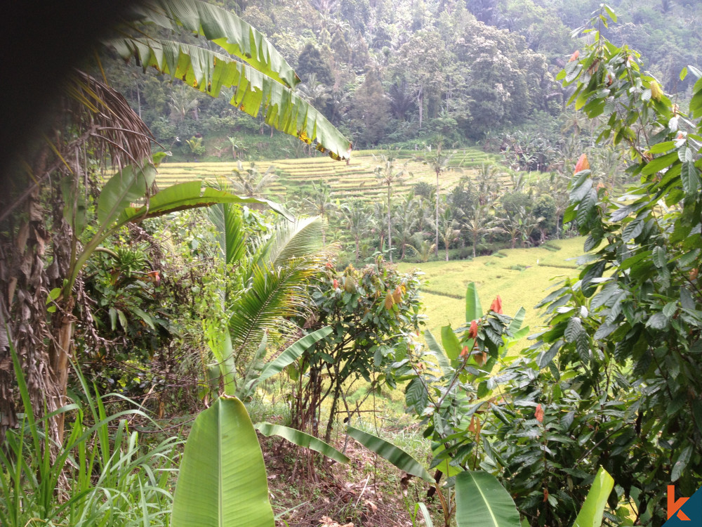 Exceptional Freehold Land in Tabanan