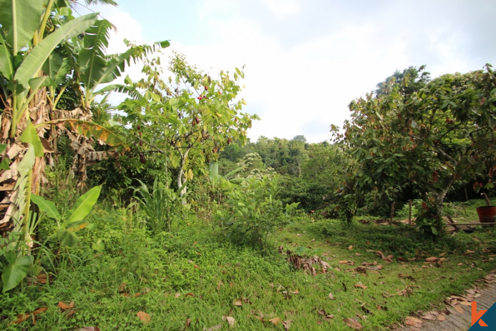 Exceptional Freehold Land in Tabanan