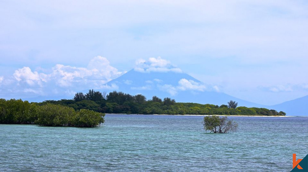 (H1) Débloquez des possibilités infinies Terrain en pleine propriété à Gili Gede