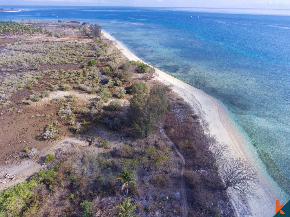 (N1) Unveiling Gili Gede Charm Freehold Land For Sale