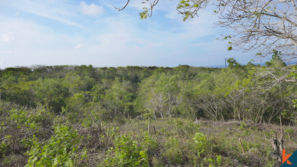 Ocean View Freehold Land for Sale in Nusa Dua - 17 Are, 10 Minutes from the Beach