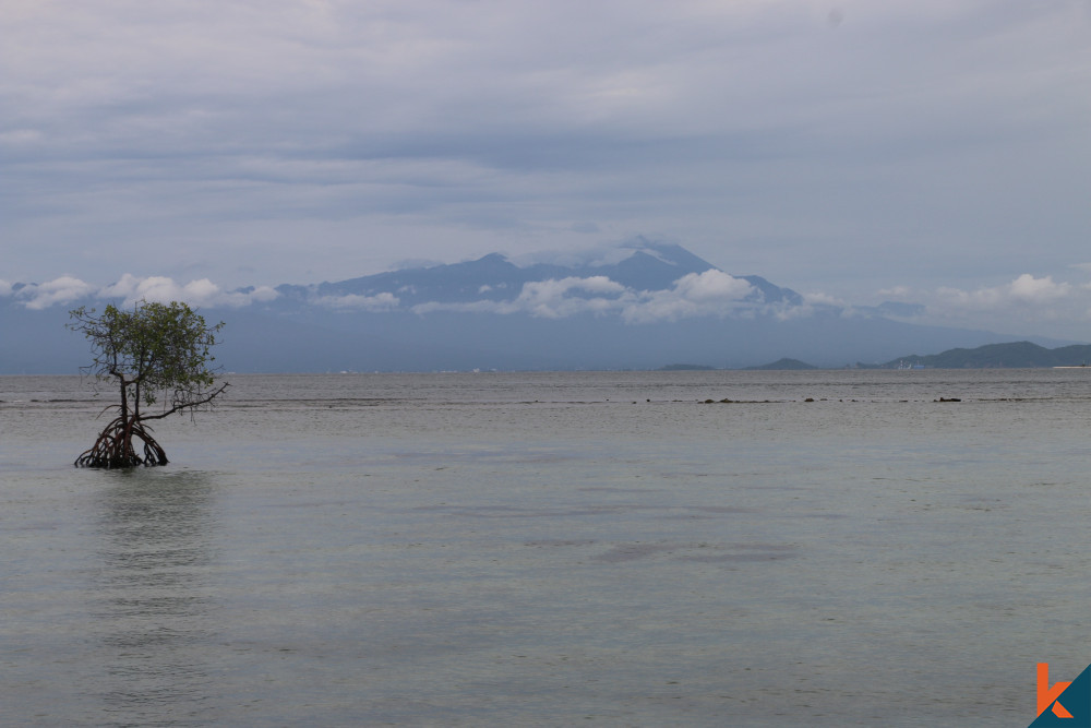 (N4) Embrace Nature's Splendor Freehold Land in Gili Gede