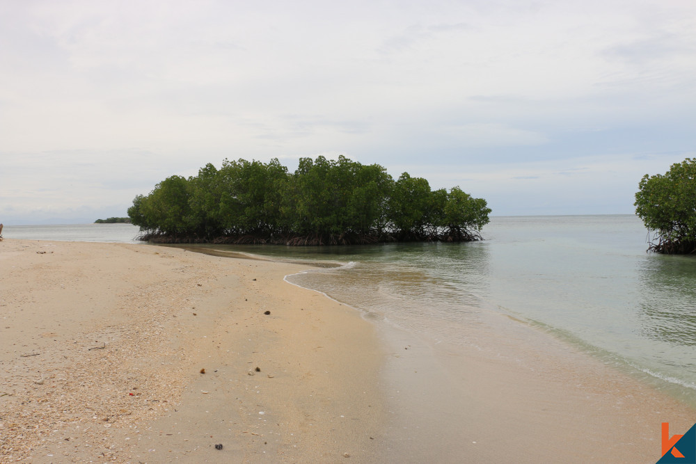 (N4) Embrace Nature's Splendor Freehold Land in Gili Gede