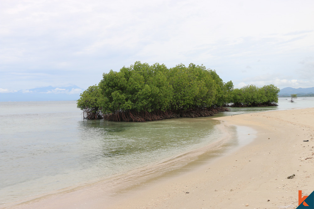 (N4) Embrace Nature's Splendor Freehold Land in Gili Gede