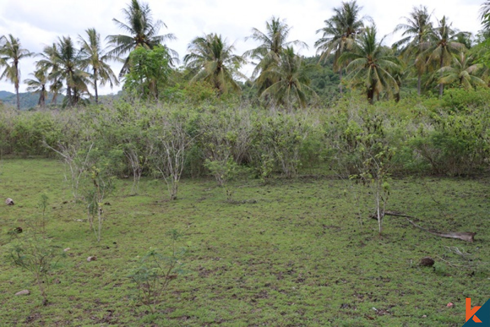 (N6) Coconut Grove Land in Gili Gede For Sale