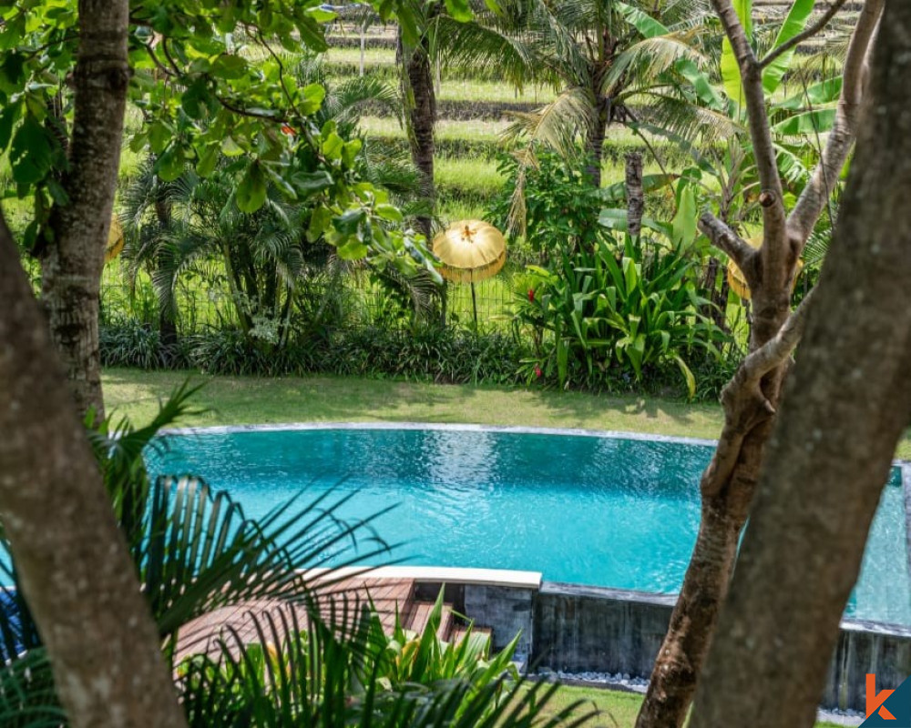 Luxurious Villa just a stone's throw away from the Stunning Pererenan Beach