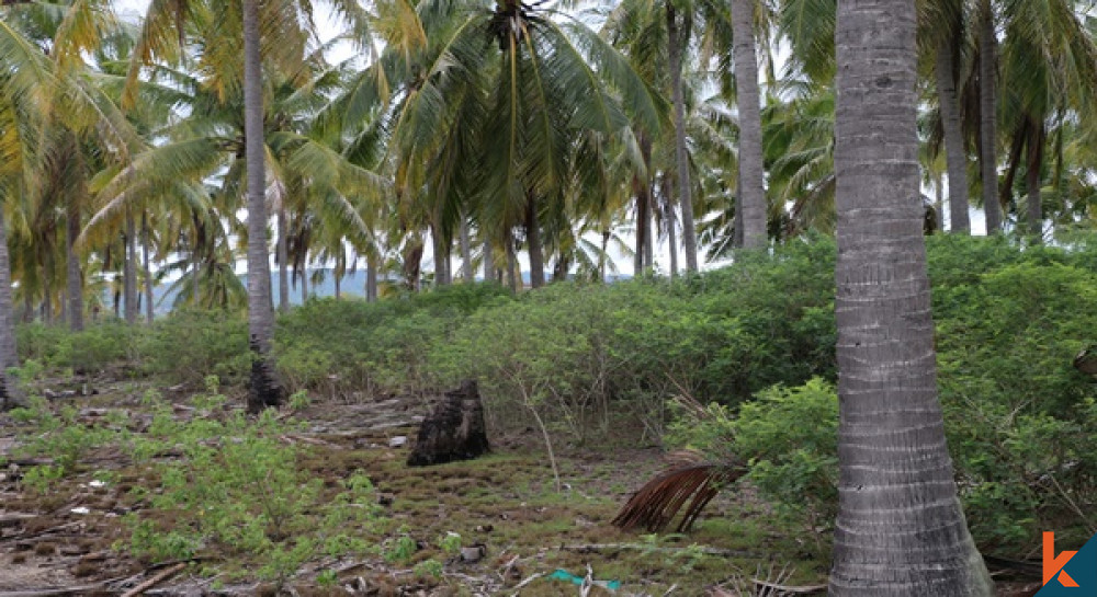 (N2&N3) Rebut Tanah Hak Milik Island Life Langka di Gili Gede