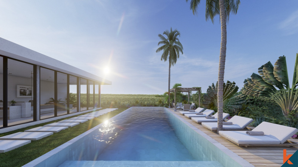 Villa Berkualitas Tinggi Yang Akan Datang Dengan Pemandangan Tak Berujung di Cepaka
