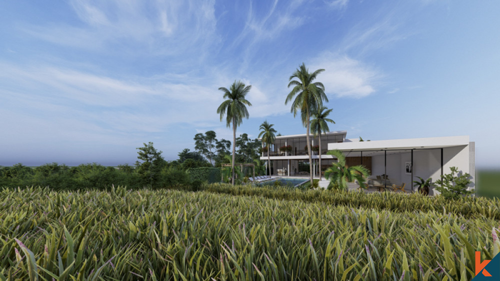 Villa Berkualitas Tinggi Yang Akan Datang Dengan Pemandangan Tak Berujung di Cepaka
