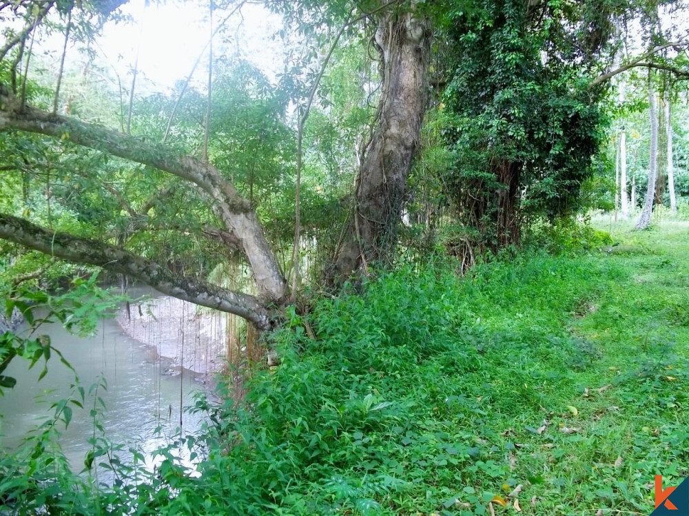 Temukan Peluang Emas Lahan 100 are Milik di Tabanan