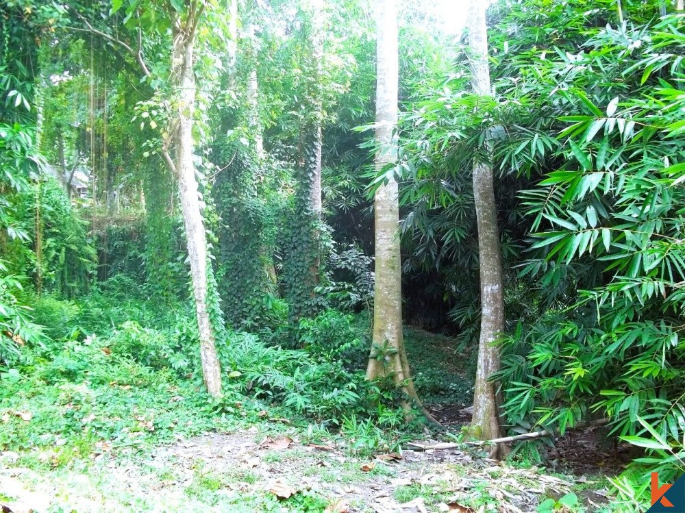 Temukan Peluang Emas Lahan 100 are Milik di Tabanan