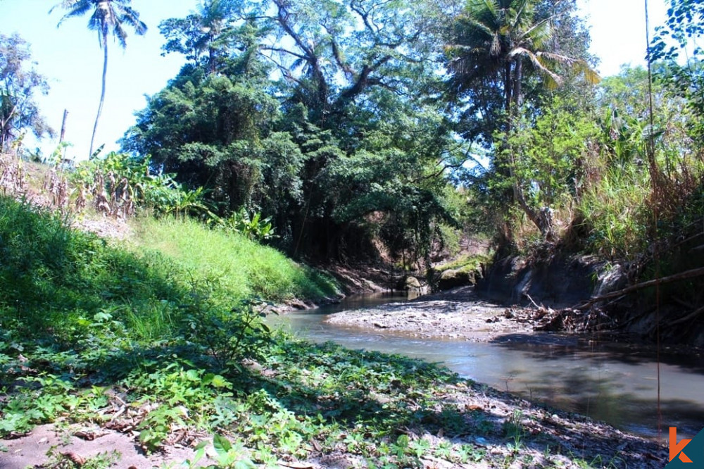 Temukan Peluang Emas Lahan 100 are Milik di Tabanan