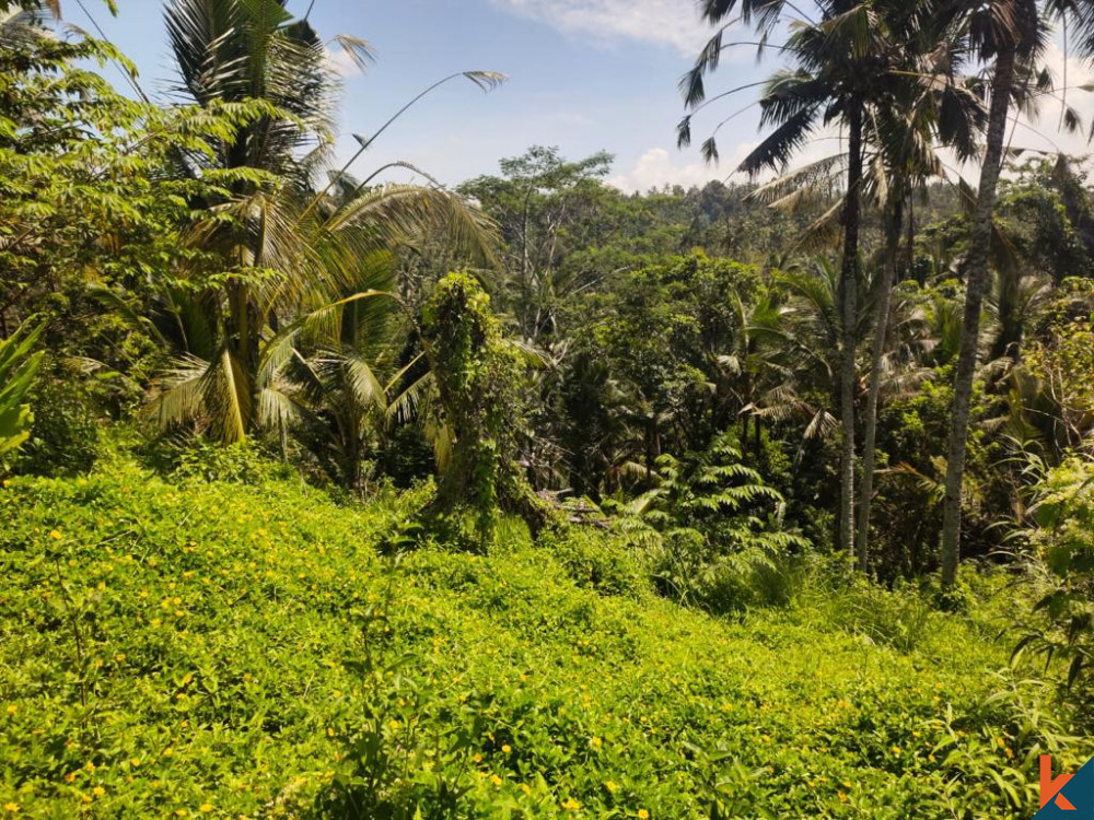 Prime Leasehold Land for Sale in Tranquil Tabanan