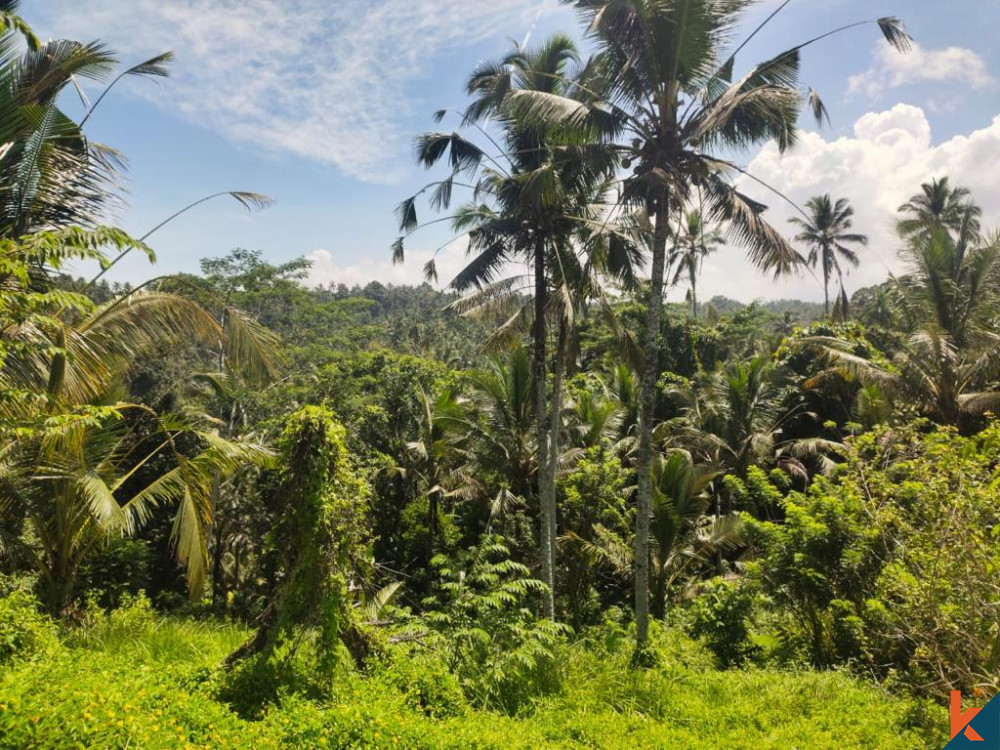 Prime Leasehold Land for Sale in Tranquil Tabanan