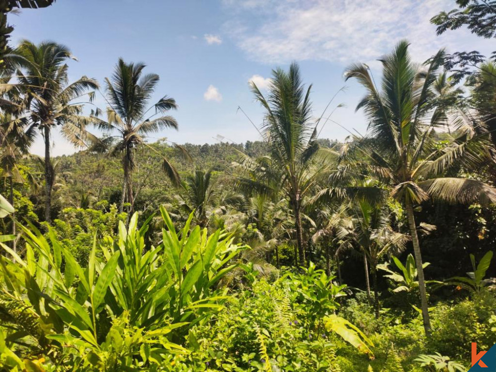 Prime Leasehold Land for Sale in Tranquil Tabanan