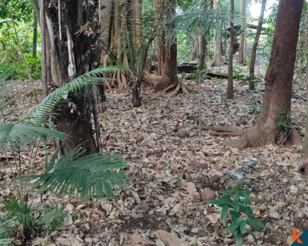 La Terre Cachée en Bord de Rivière à Tabanan à Vendre