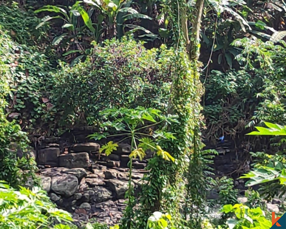 La Terre Cachée en Bord de Rivière à Tabanan à Vendre