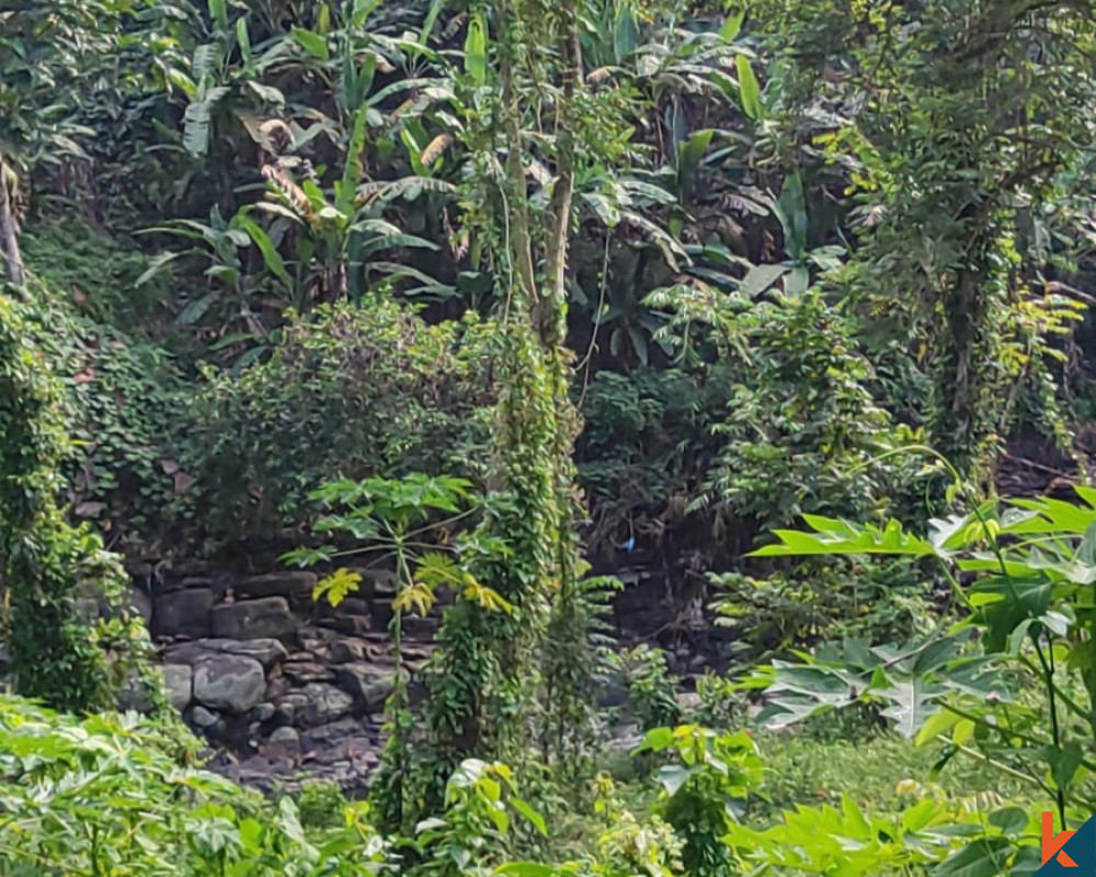 La Terre Cachée en Bord de Rivière à Tabanan à Vendre