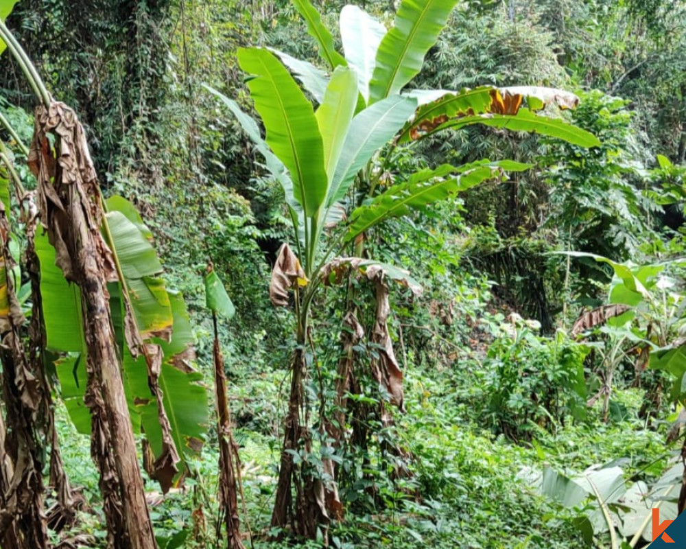 La Terre Cachée en Bord de Rivière à Tabanan à Vendre