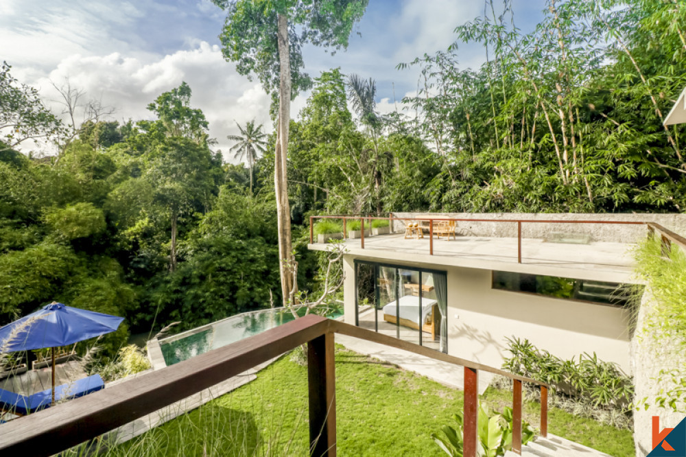 Villa riveraine avec vue sur la jungle