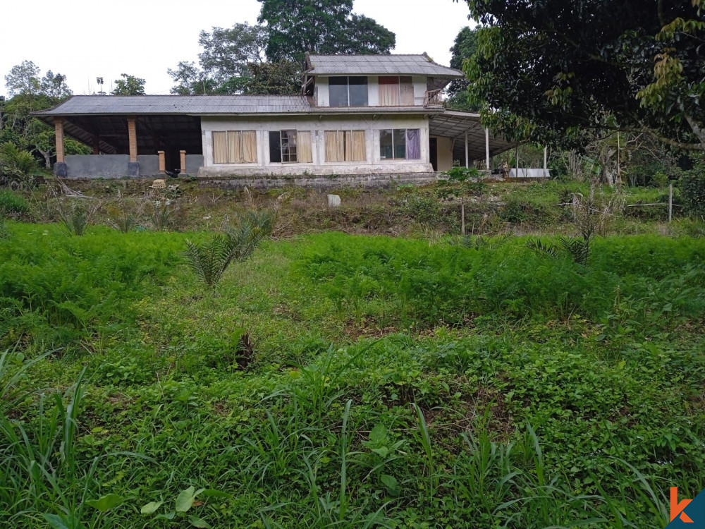 Exceptional Freehold Land for Sale in Idyllic Baturiti