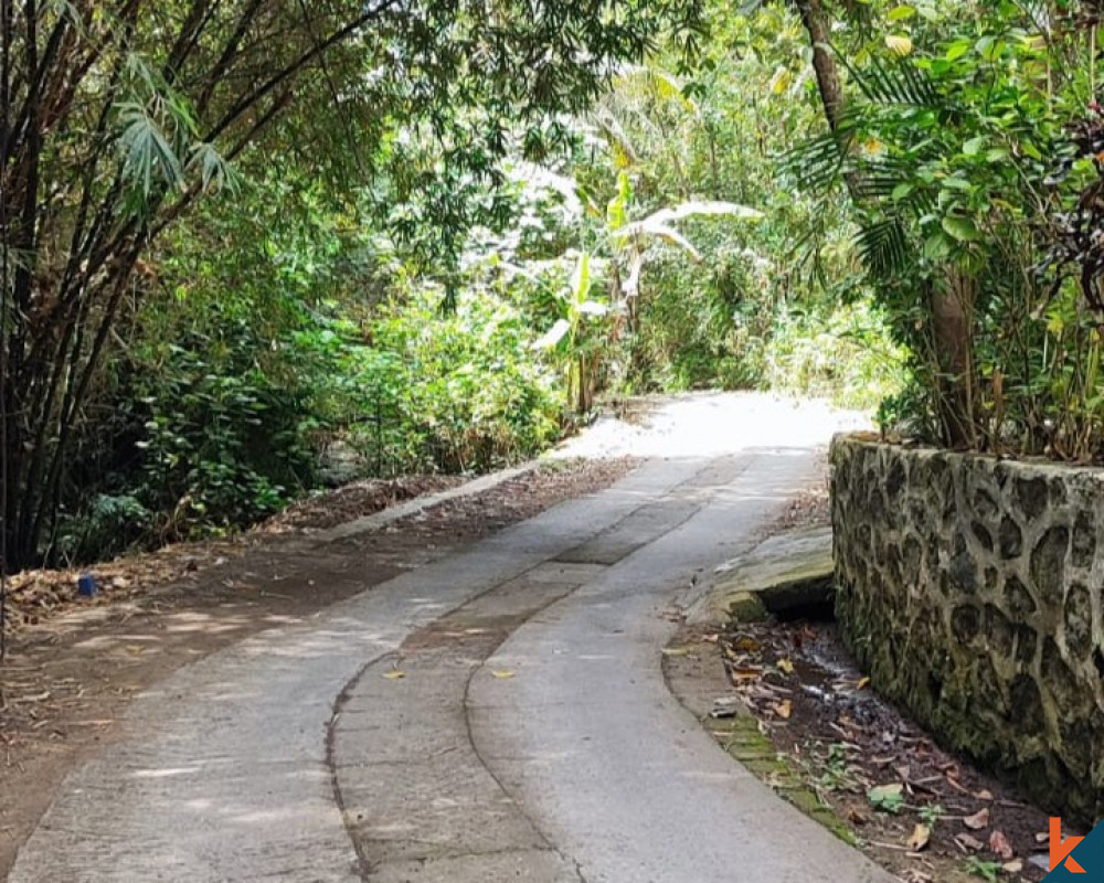 Serene Beachside Land for Sale in Tabanan