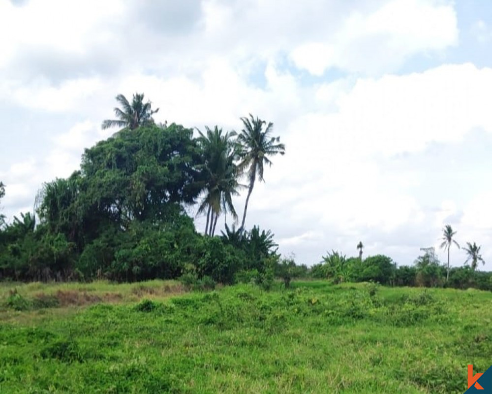 Tanah Tenang di Pinggir Pantai Dijual di Tabanan