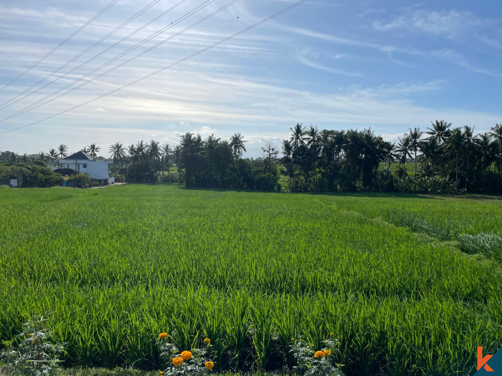 Peluang Langka Leasehold Tanah Dijual di Kaba-Kaba yang Mempesona