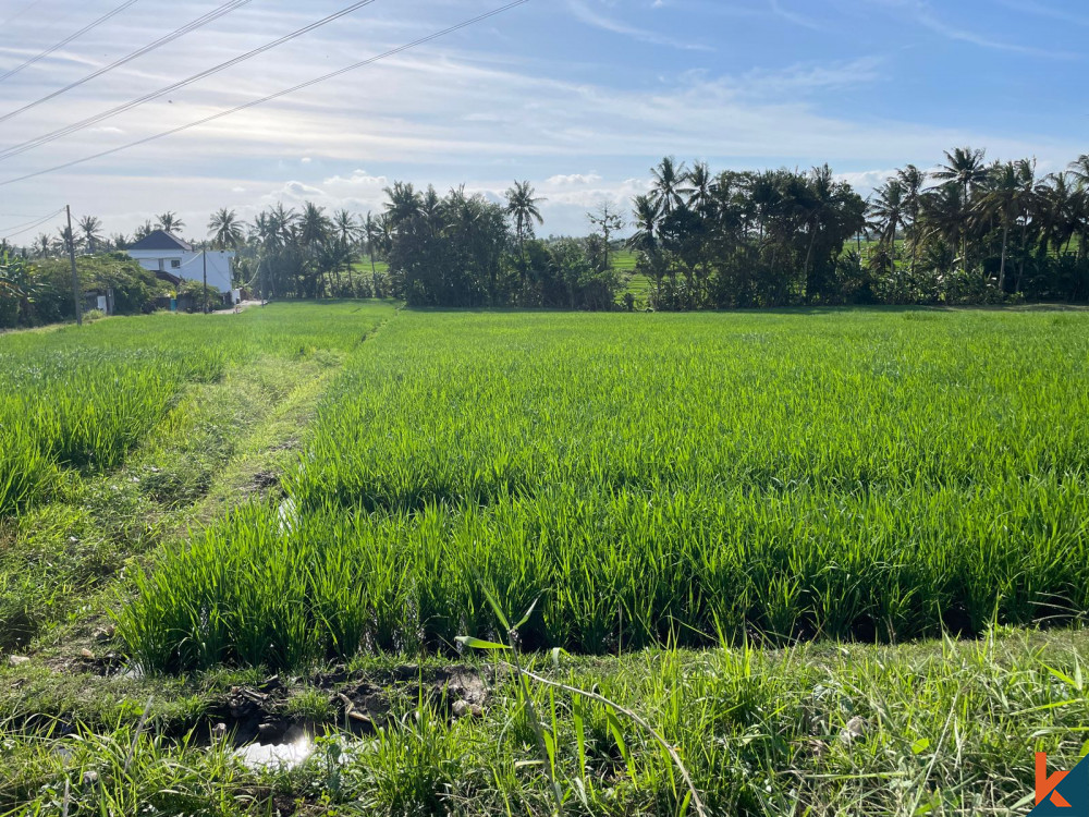 Peluang Langka Leasehold Tanah Dijual di Kaba-Kaba yang Mempesona