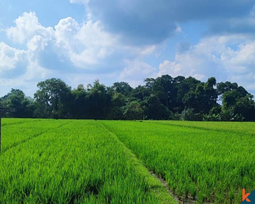 Tanah Indah dekat Pantai Kedungu Tersedia untuk Dijual