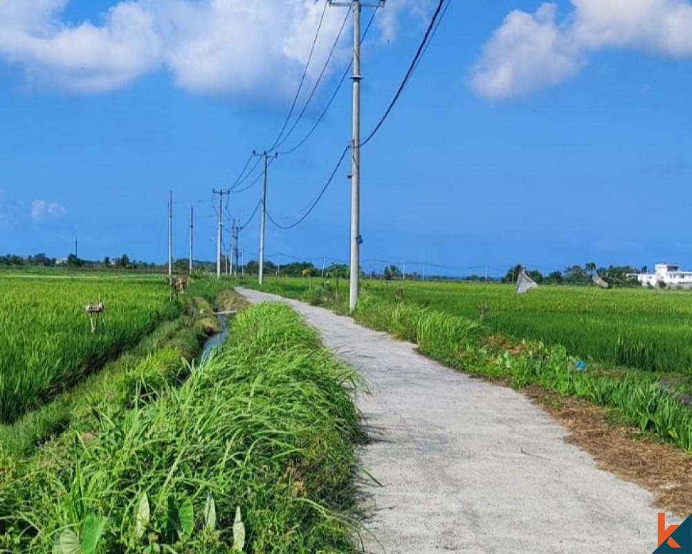 Beau terrain près de la plage de Kedungu disponible à la vente