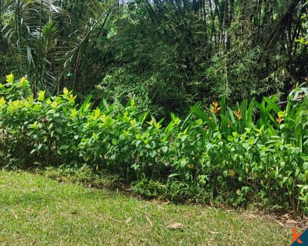 10 Are Riverside Land for Sale in Pererenan