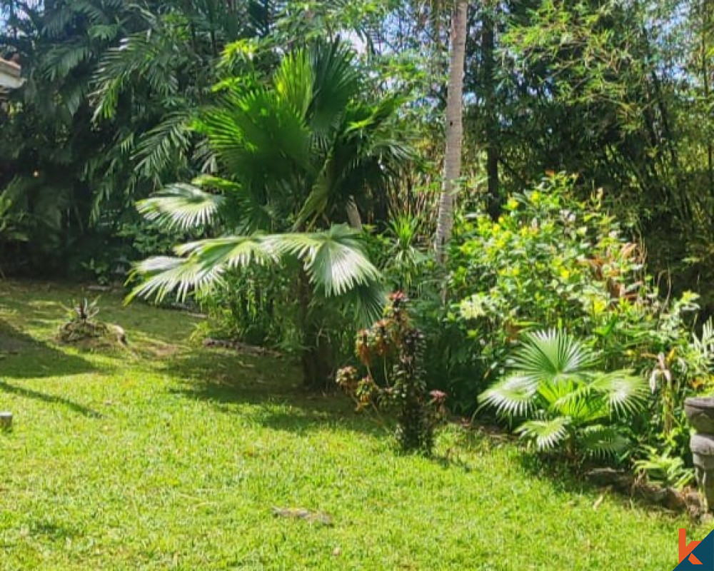 10 Are Riverside Land for Sale in Pererenan